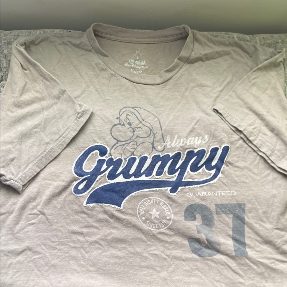 Disney Tan and Navy Grumpy Tee